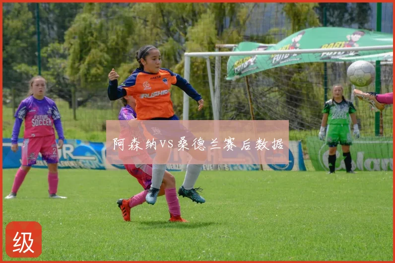 阿森纳vs桑德兰赛后数据